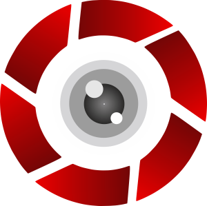 favicon image