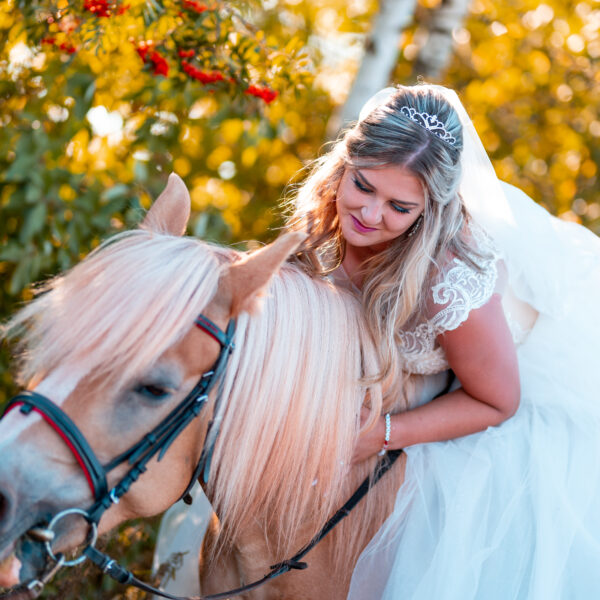 Svatební projížďka na koních